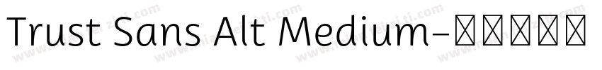 Trust Sans Alt Medium字体转换